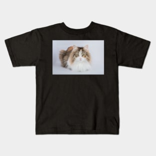 Long Hair tortoiseshell cat Kids T-Shirt